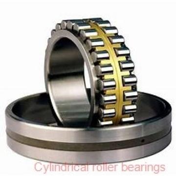 170 mm x 360 mm x 120 mm  KOYO NUP2334 cylindrical roller bearings