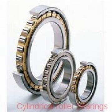 45 mm x 75 mm x 40 mm  NBS SL045009-PP cylindrical roller bearings