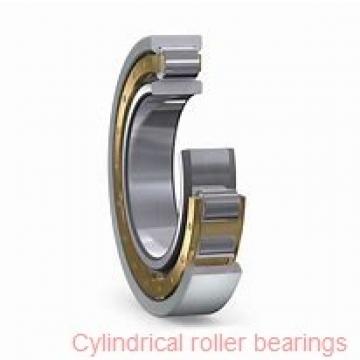 45 mm x 100 mm x 25 mm  Fersa NU309FMNR/C3 cylindrical roller bearings
