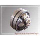 AST 24136C spherical roller bearings