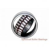 70 mm x 125 mm x 31 mm  NSK 22214L11CAM spherical roller bearings