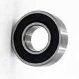 China Kent Factory Hot Selling Electrical Motor Cheaper Deep Groove Ball Bearing 99502h R12 R10 R8-7 R8 R6 R4a R4 R156 R3a 2rz 2RS Zz